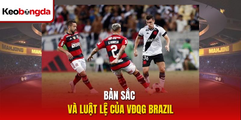 Bản sắc và luật lệ của VĐQG Brazil