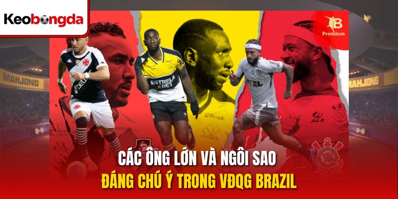 Các ông lớn và ngôi sao đáng chú ý trong VĐQG Brazil