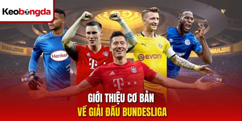 Giới thiệu cơ bản về giải đấu Bundesliga