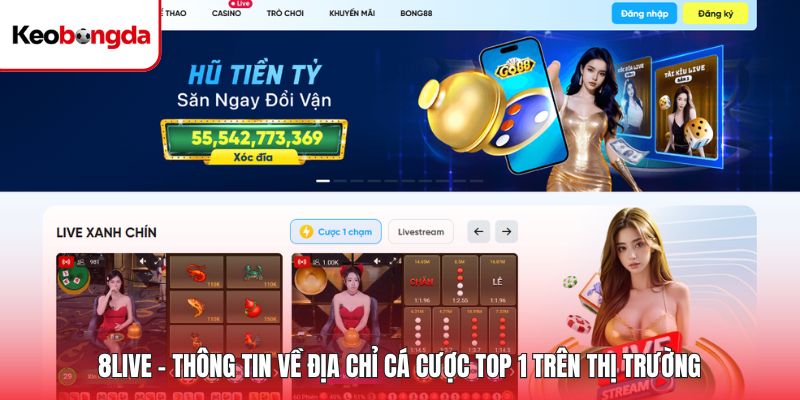 8LIVE - Thông Tin Về Địa Chỉ Cá Cược Top 1 Trên Thị Trường