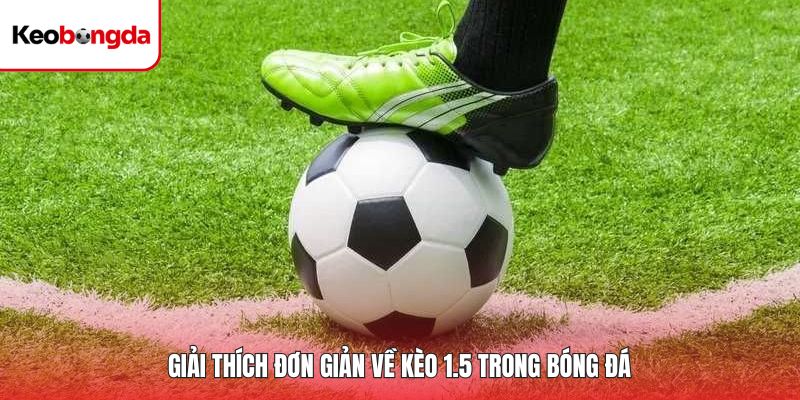 Giải thích đơn giản về kèo 1.5 trong bóng đá