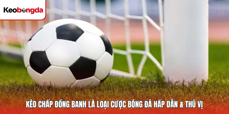 Kèo chấp đồng banh là loại cược bóng đá hấp dẫn & thú vị