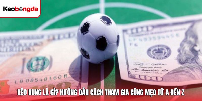 Kèo Rung Là Gì? Hướng Dẫn Cách Tham Gia Cùng Mẹo Từ A Đến Z