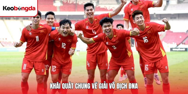 Khái quát chung về giải vô địch ĐNA