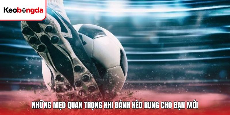 Những mẹo quan trọng khi đánh kèo rung cho bạn mới