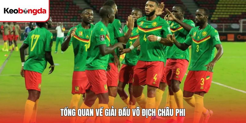 Tổng quan về giải đấu vô địch châu Phi